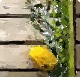 Sukkot